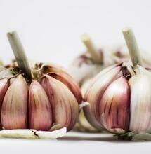 Sirné sloučeniny, aneb co má společného česnek s konopím