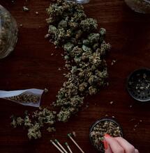 Weight Loss and Smoking Weed: Is THCV the new CBD?