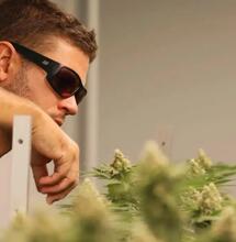 Growing in Thailand: An Interview 