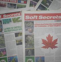 Soutenez notre magazine indépendant 