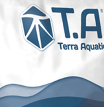 T.A organic soil: light-mix