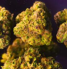 Spełnij swoje stonerskie marzenia