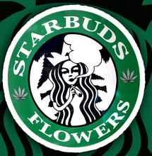 Starbucks vs. Starbuds