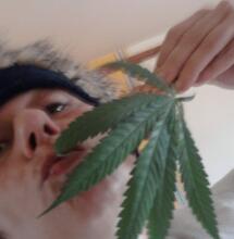 Interview Stoner VIP : Billy Ze Kick