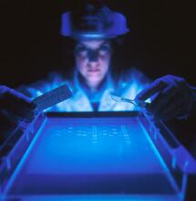 Strong Cannabis Can Change DNA, Study Finds.