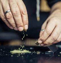 Studenten starten petitie voor keurmerk coffeeshops