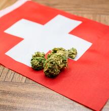 Svizzera Cannabis