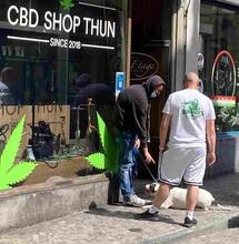 Nuovo disegno di legge svizzero per legalizzare