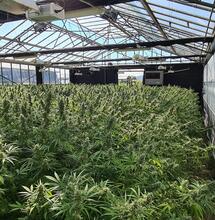 Installazione per la ricerca genetica