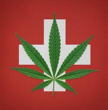 Szwajcaria rozpoczyna konsultacje w sprawie legalizacji marihuany