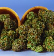 THC i celekoksyb jako obiecujące połączenie w terapii Alzheimera