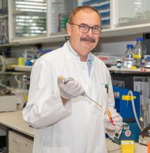 scientists demonstrated THC could slow down brain aging in mice