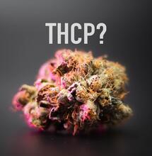 THCP – znáte novou „legální“ látku z konopí?