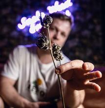 The Perfect Grow S2 ep8: Knippen en drogen