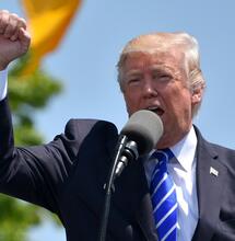 Cannabis: Trump apre alla riclassificazione, un segnale importante per il settore