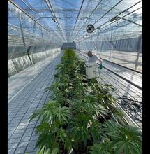 Foto: Aardactichtig, LinkedIn