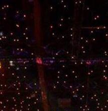 15eme édition du Telerama Dub Festival15eme édition du Telerama Dub Festival