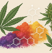 Terpene & Flavonoide – Warum sind sie wichtig?