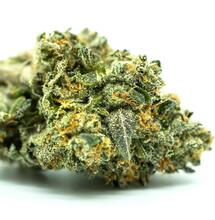 Terpeny z konopí tiší bolest i samotné, říká studie
