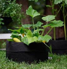 textilní květináče