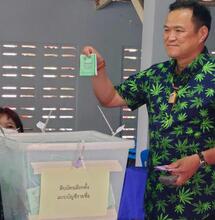 Thaïlande : le «  roi du cannabis »  devient premier ministre