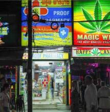 La révolution du cannabis en Thaïlande : nouvelles lois, grandes marques et controverses