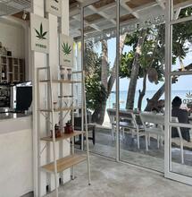 Thajsko a nová regulace marihuany, co se změní?