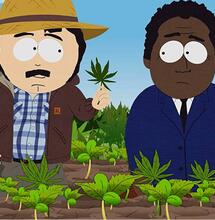 South Park denuncia la disuguaglianza sociale nell'industria della cannabis 