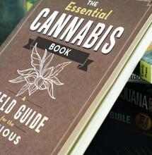 Cannabis: cinque libri da non perdere