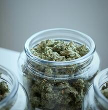 The Importance of Curing