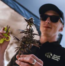 The Perfect Grow 2, EP. 3 – wszystko o glebie