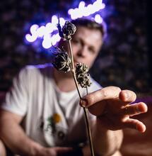 The Perfect Grow Episode 8, Trimming and Curing