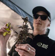 The Perfect Grow S2 ep3: Welk substraat kies je?