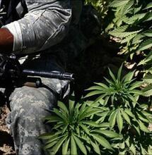 Marijuana for vets now possible with new amendment