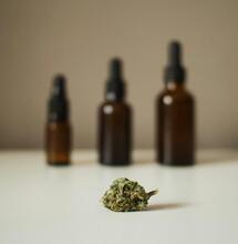 Los 3 tipos de CBD: ¿Cuál es el mejor para ti?
