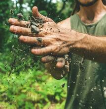 Tips del suelo para cultivo cannábico en exterior.
