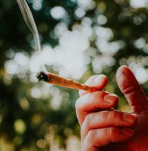 Todo lo que necesitas saber sobre la marihuana Punto Rojo