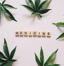 Tribute to the Father of Cannabis