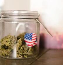 Les États-Unis accordent une légitimité fédérale au cannabis médical