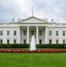 Trumpova vláda přeřazuje konopí mezi méně nebezpečné látky