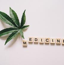 U.K. committee ask Gov to improve access to medicinal cannabis