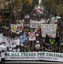 Il Cile dice sì all'autoproduzione di Cannabis medica