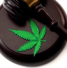 UK cannabis deal sets new record and raises hopes that legalisation could be a real possibility!