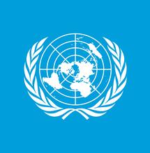 World Drug Report 2026 : le nouveau rapport de l’UNODC