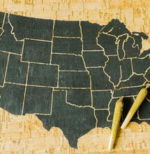 USA usuwa marihuanę z listy najbardziej niebezpiecznych narkotyków