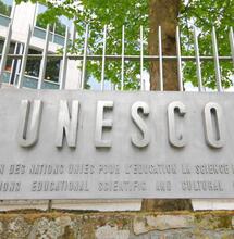 Dal divieto alla cultura: l'Unesco cambia rotta sulla cannabis