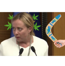 Emendamento fantasma Cannabis Light, era un boomerang?