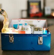 Update on German Cannabis Reform