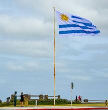 Uruguay: Legální konopí poprvé převálcovalo černý trh