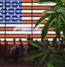 Cannabis sempre meno droga: gli Usa cambiano la tabella